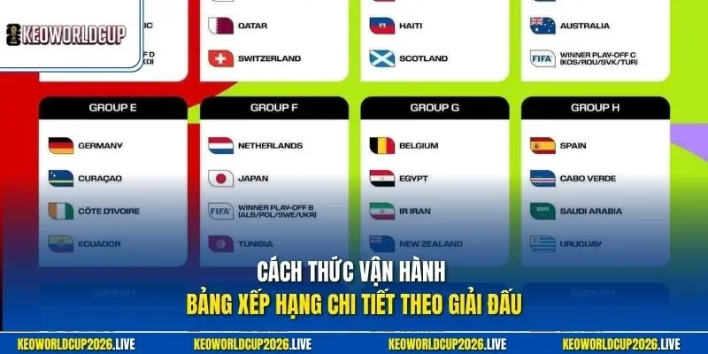Cách thức vận hành bảng xếp hạng chi tiết theo giải đấu