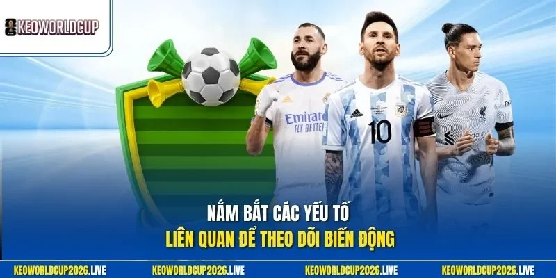 Nắm bắt các yếu tố liên quan để theo dõi biến động