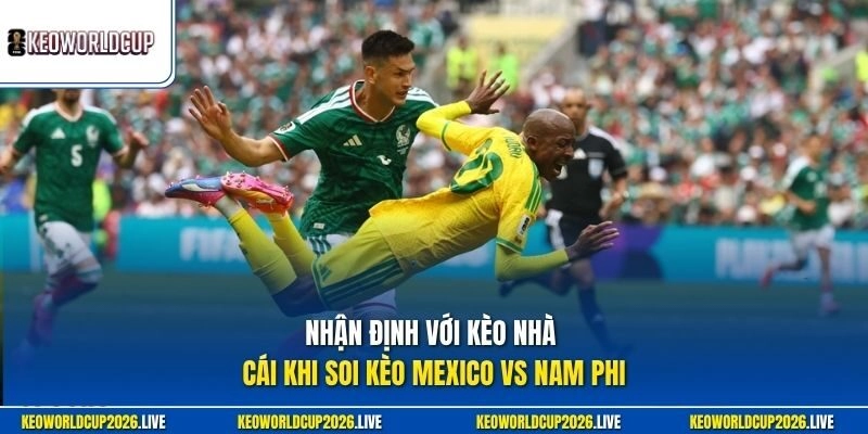 Nhận định với kèo nhà cái khi soi kèo Mexico vs Nam Phi