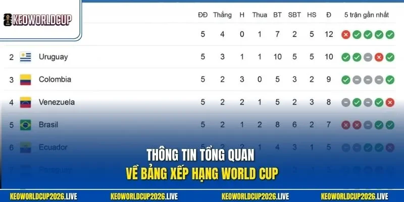 Thông tin tổng quan về bảng xếp hạng World Cup