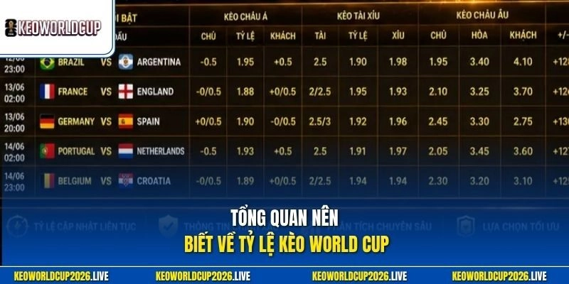 Tổng quan nên biết về tỷ lệ kèo World Cup 